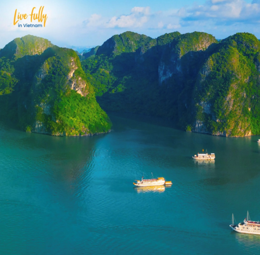 越南位列全球旅游搜索TOP10 越南航空带你安心游越南