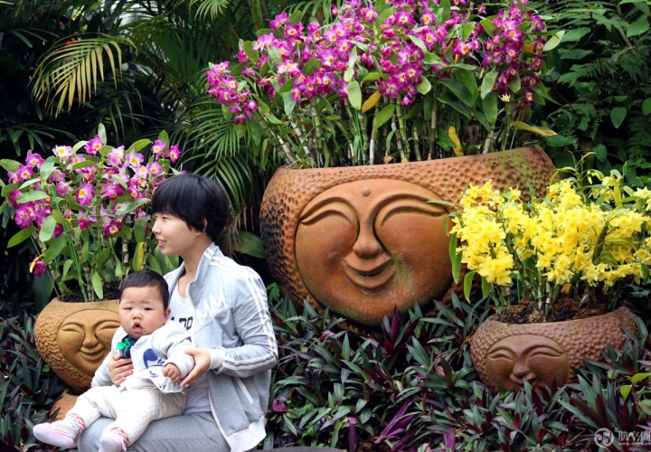  2017年春节期间，广西南宁青秀山兰花展引来众多游客