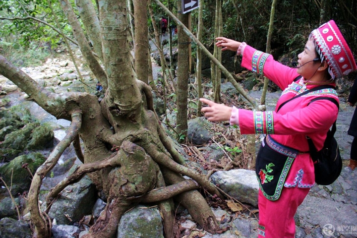 广西环江牛角寨瀑布群景区 冬日别有风情